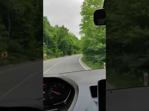 Peugeot 5008 Karadeniz Turu gündüz snap