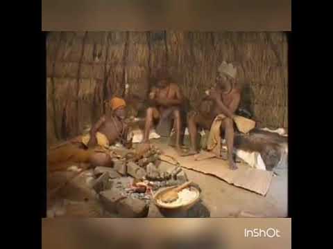 Phekeza vs Mgqaliso
