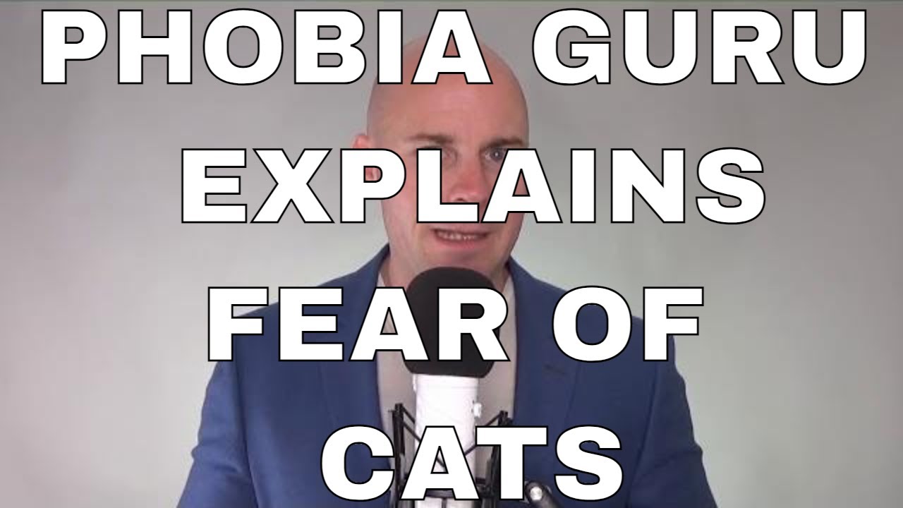 Phobia Guru explains Fear of Cats known as Ailurophobia