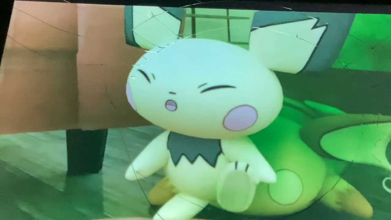 Pichu Farts On Raichu