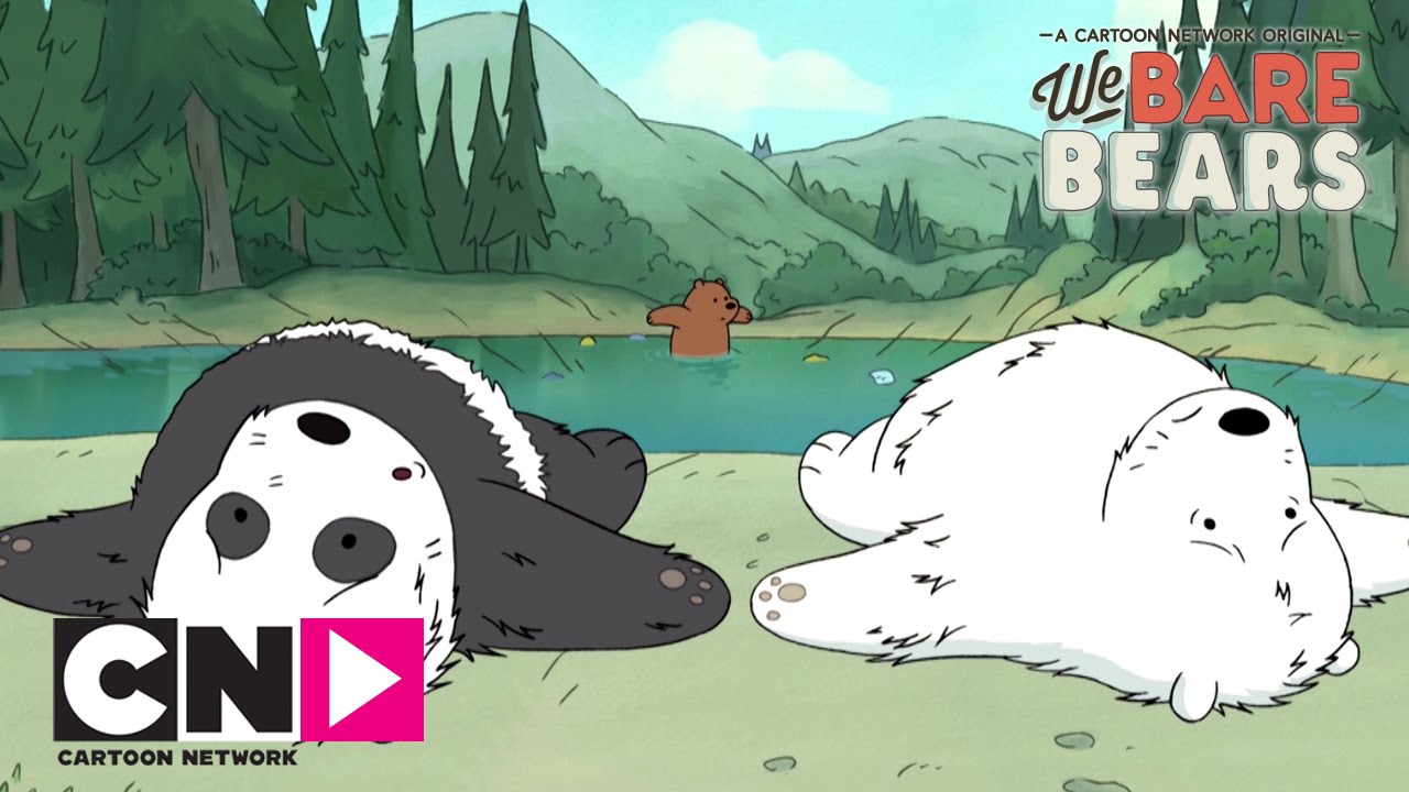 Picnic | Aventurile fraţilor urşi | Cartoon Network