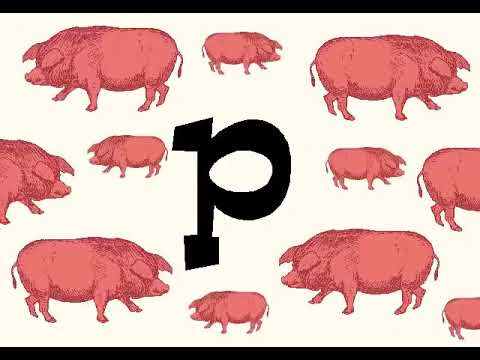 Picture Letter Sound Song by Waterford UPSTART