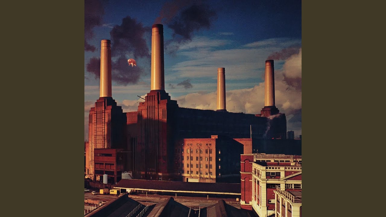 Pigs (Three Different Ones)