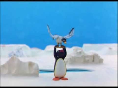 Pingu And The Seagul - Pingu Official Channel
