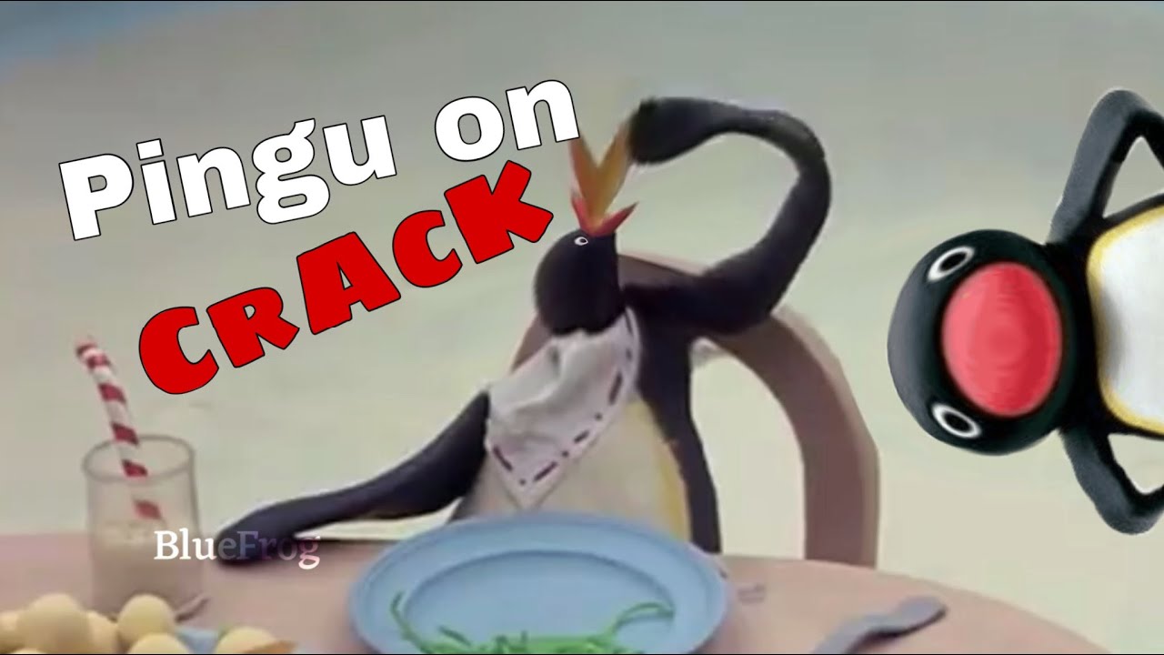PINGU ON CRACK *i bet you wont click on it*
