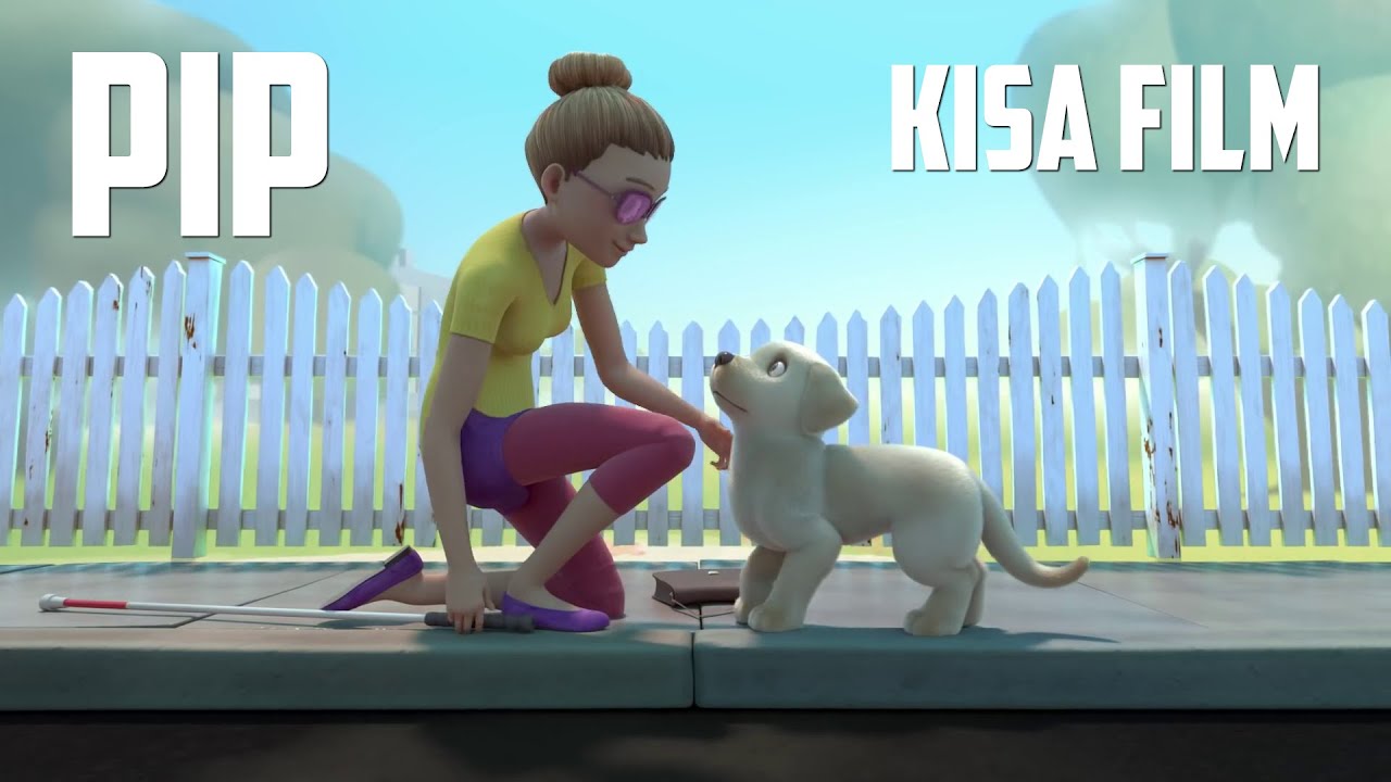 PIP - Kısa Film (Bir Köpeğin Hikayesi)