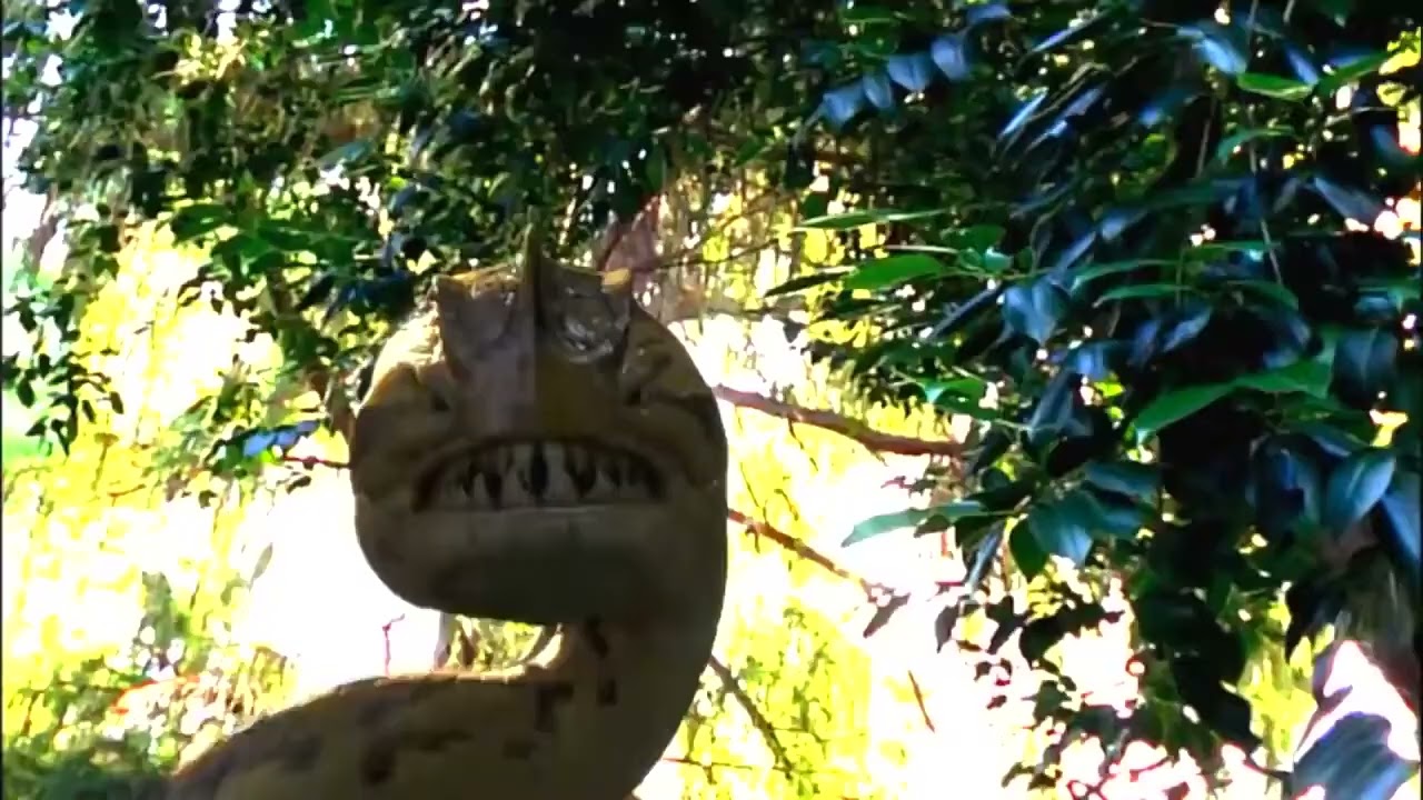 PIRANHACONDA / MUSIC VIDEO