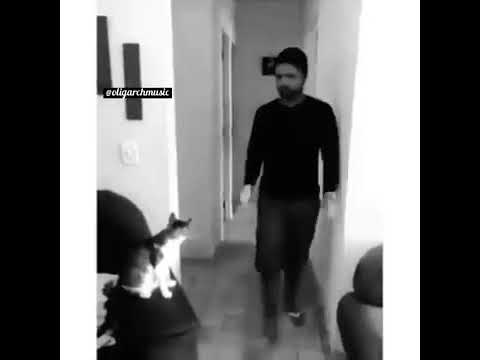 Pisiki ozlerine ehillesdiribler