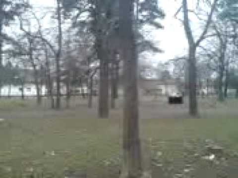 Pit Bull Serbia