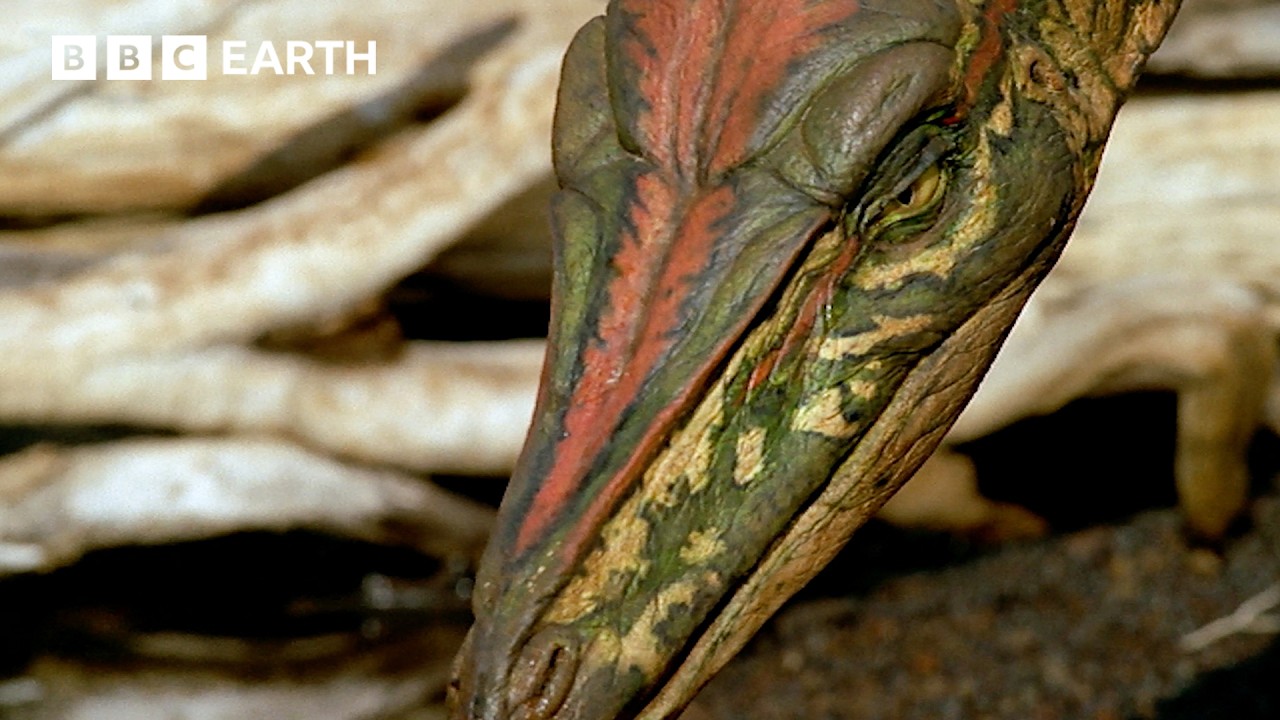 Placerias vs Celophysis: Battle for Triassic Survival | Walking with Dinosaurs (1999) | BBC Earth