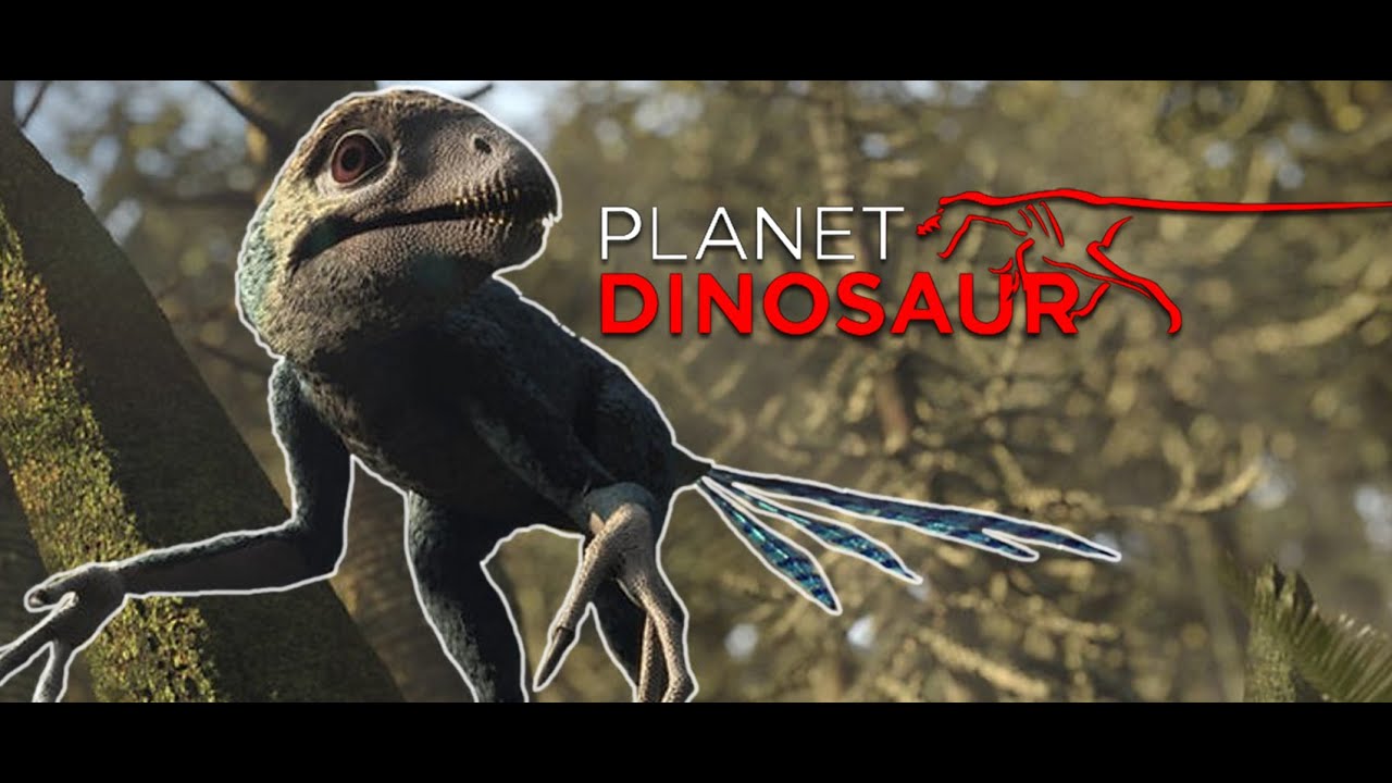 Planet Dinosaur - Epidexipteryx hui