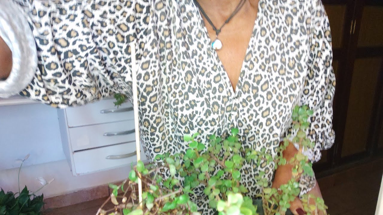 Plantinha fragil.