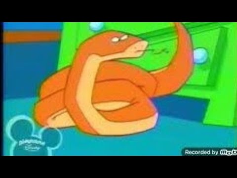 playhouse disney Stanley whole lot of snaking going on