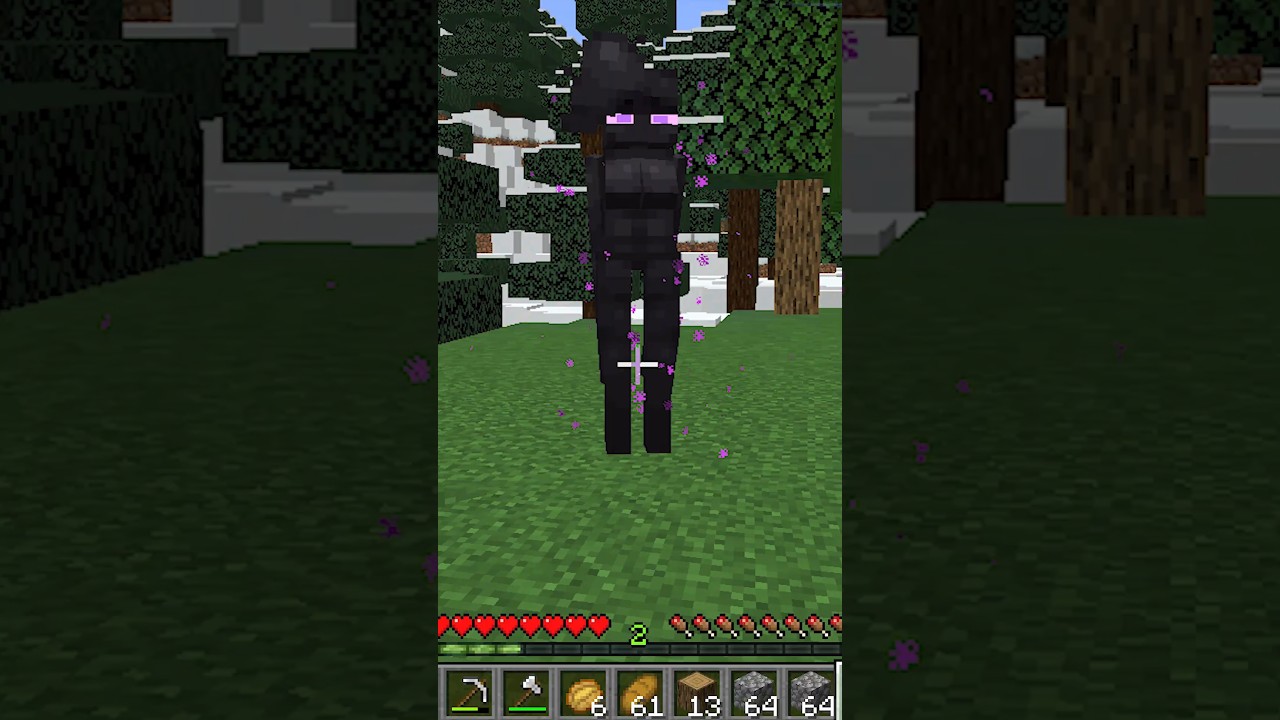 Playing the new Ender-Woman Minecraft Update