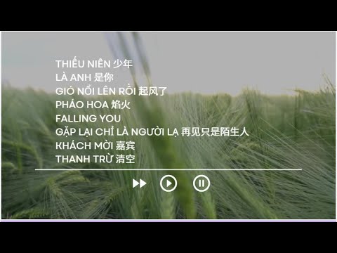 [PLAYLIST]  TOP NHỮNG BẢN NHẠC TRUNG HAY #NO.8 LÀ ANH