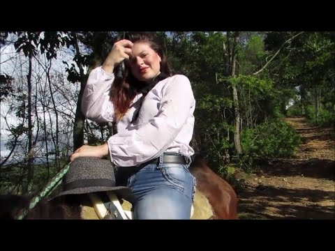 Pleasant Hard Ride-II