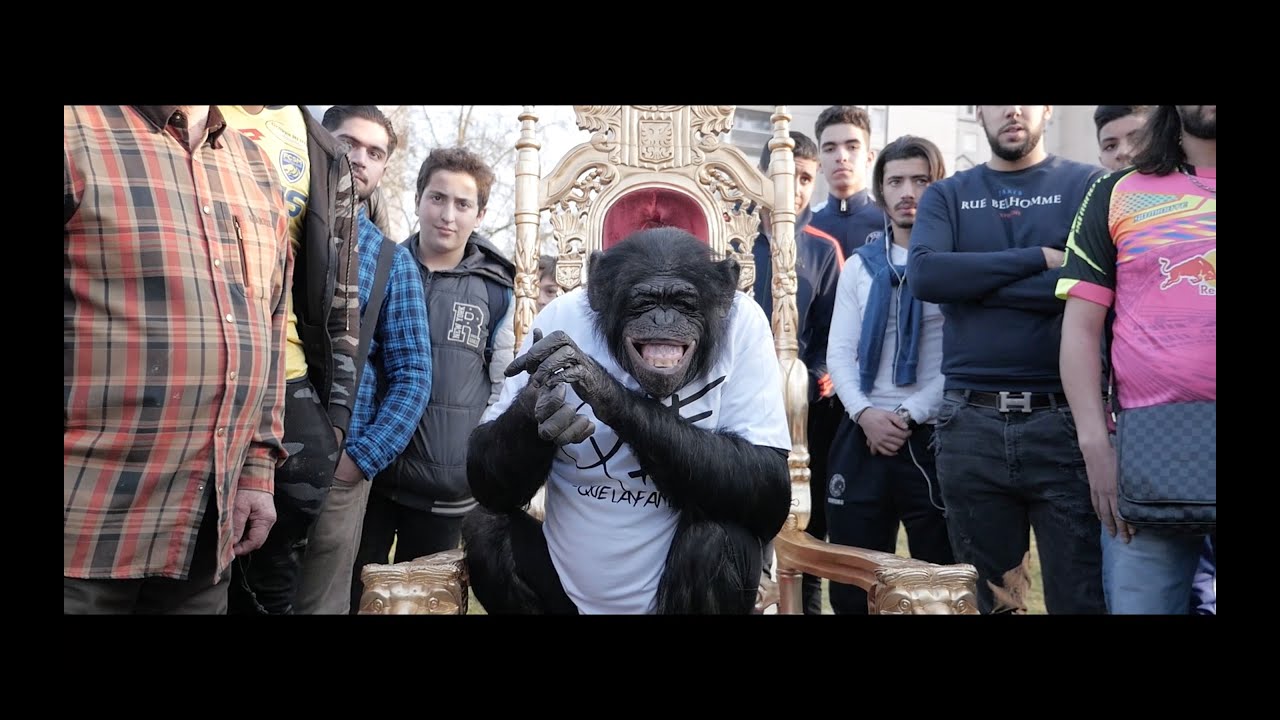 PNL - DA [Official Video]
