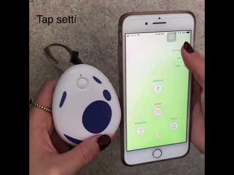 pocket egg 自動捕獲 アップデート機能サポート