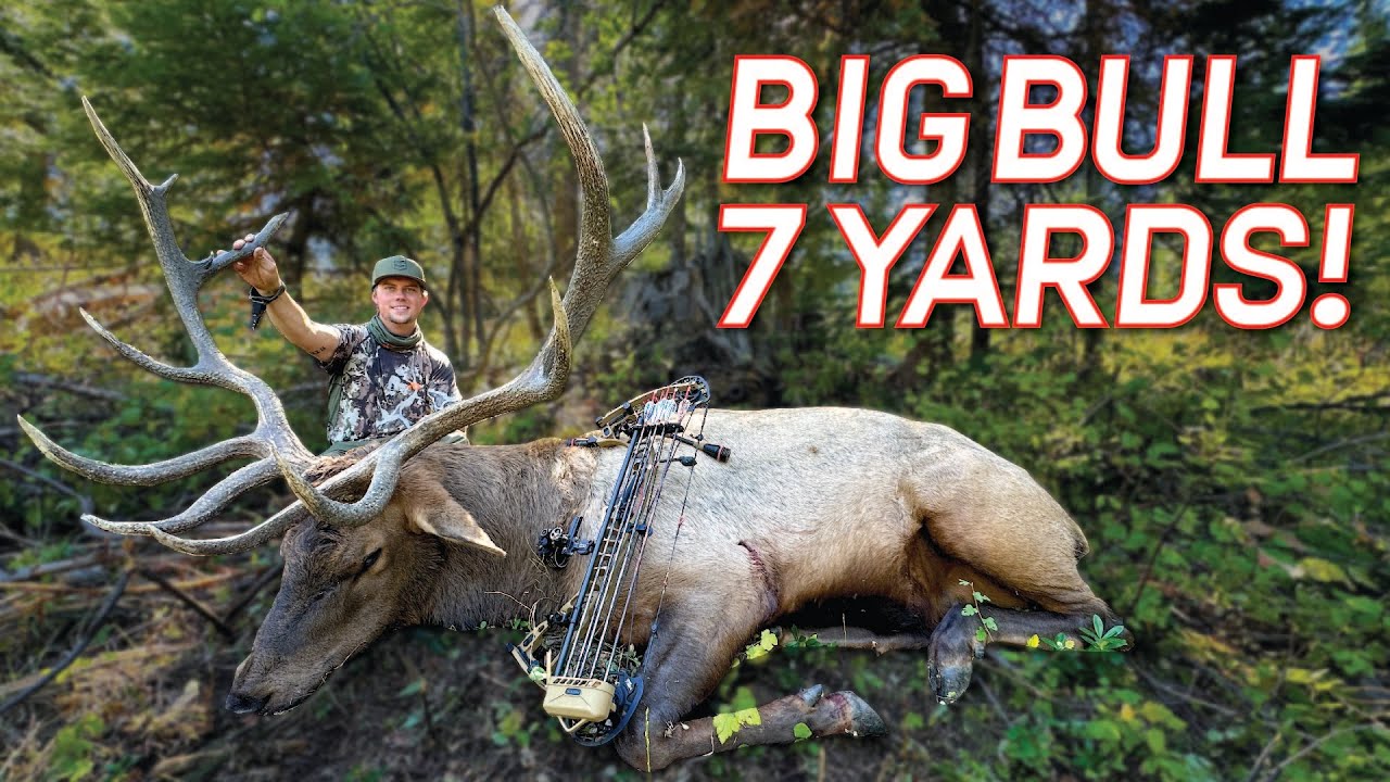 POINT BLANK ARCHERY ELK SHOT!!!