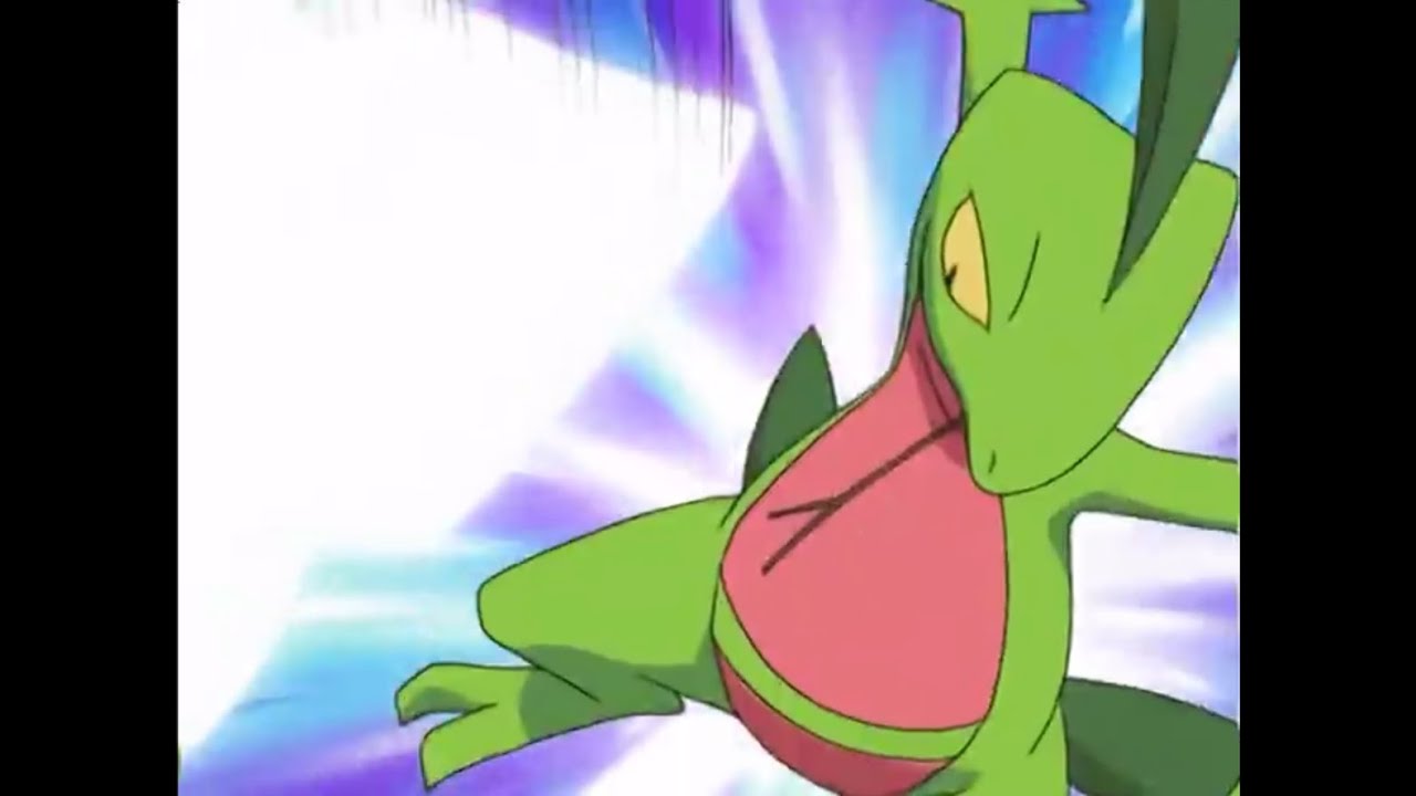 Pokemon Grovyle  vs Steelix