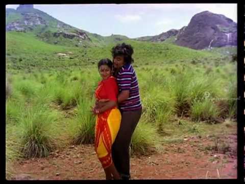 Pokkiri Raja- Naan Pokkirikku Song
