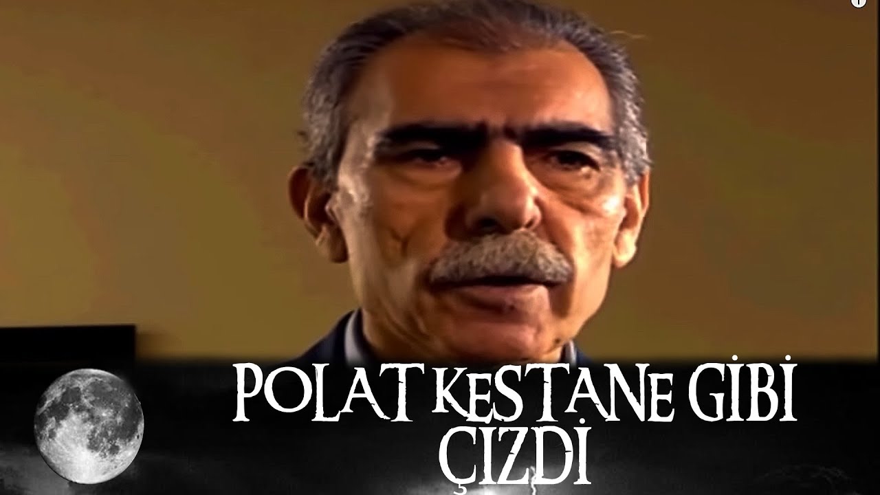 Polat kestane gibi çizdi gitti abi - Kurtlar Vadisi 43.Bölüm