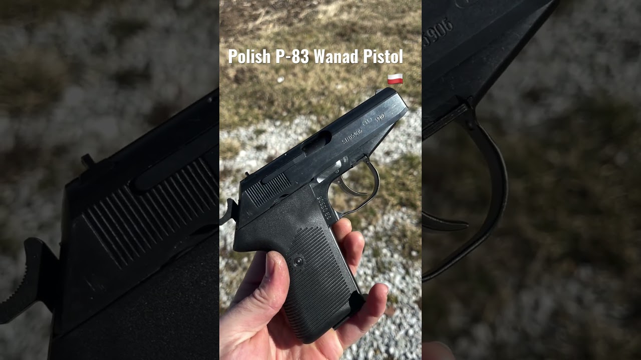 Polish Cold War Steel! P-83 Wanad #shorts