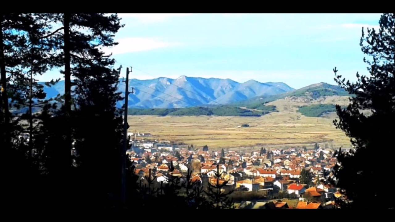 Pomashka kitka ( Bairjam v Rakitovo)