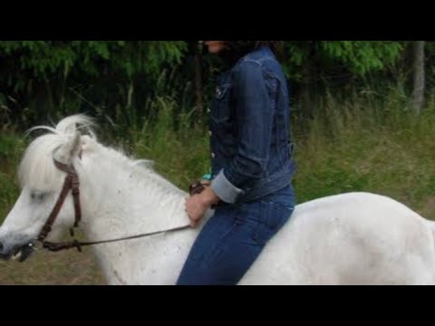 Pony boy horse ridding full weight girl