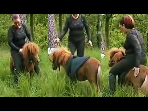 Pony riding new video, please subscribe my channel. #pony #horse #horseriding #foryou  #highlights