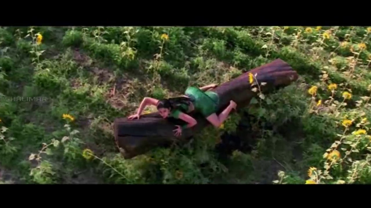 Poola Ghuma Ghuma Video Song || Sri Anjaneyam Movie || Nitin, Charmi