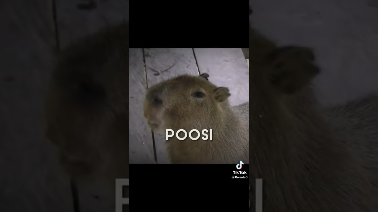 poosi tight poosi clean