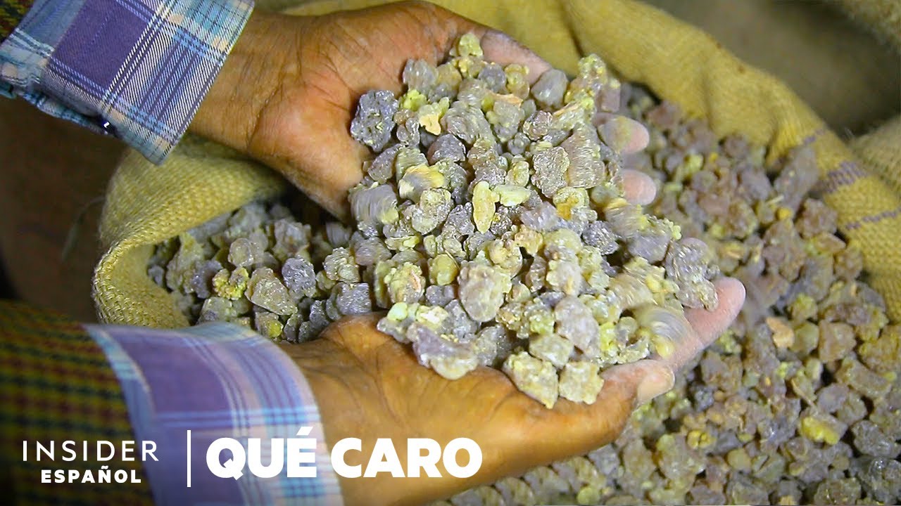 Por qué el olíbano y la mirra son tan caros | Qué caro