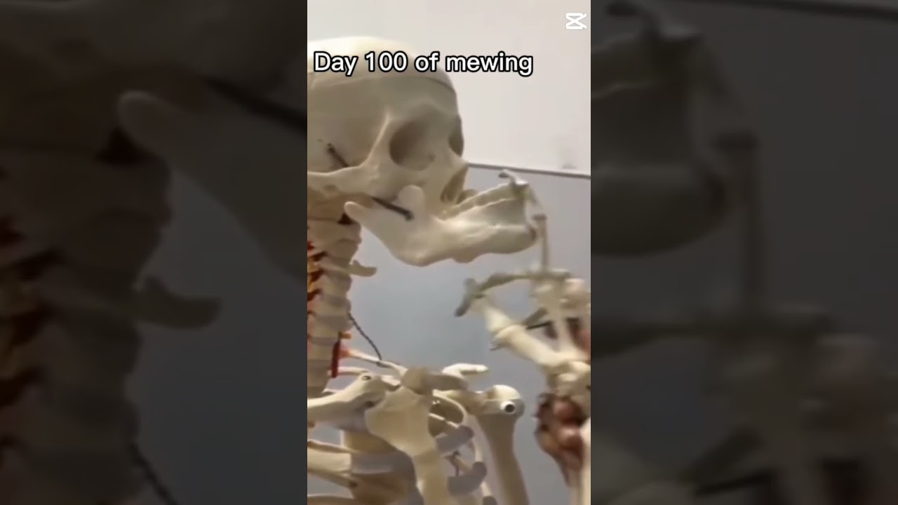 Posting memes until 300 subs