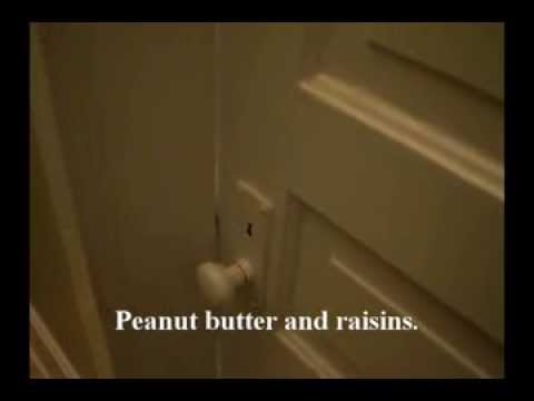 Potty Talk! [Original] 3 year old contemplates the effects of his diet on the toilet