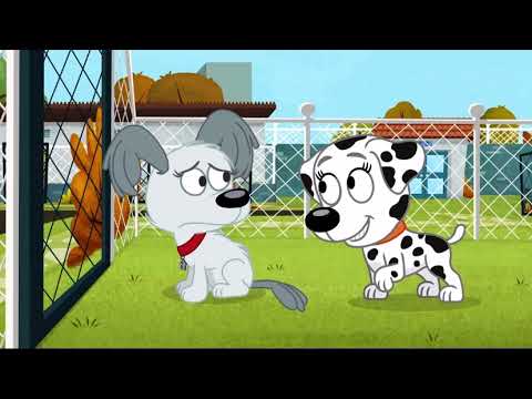 Pound Puppies - Rebound is Not in the Mood while Roxie Meet her