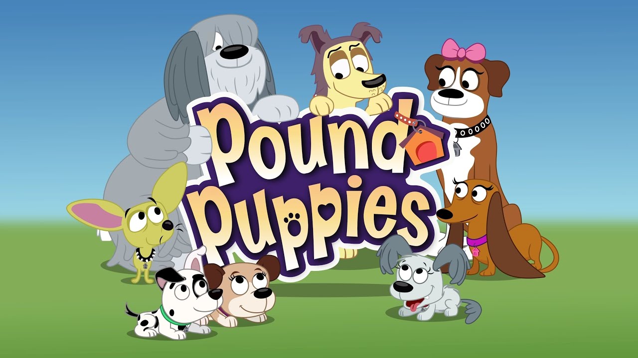 Pound Puppies Season 3 Episode 16 - Lucky the Dunce
