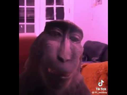 pov: me in bigo live