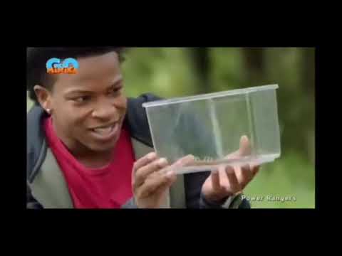 Power Rangers Beast Morphers | 3.Bölüm