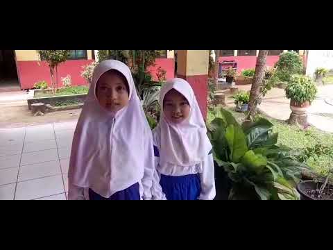 PPDB. Penerimaan Peserta Didik Baru SDN 26 Kinali