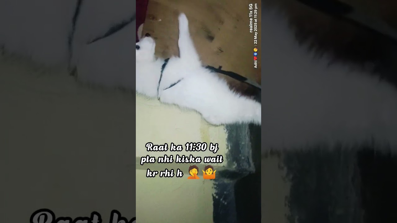 pra nhi aanya kiska wait kr rhi raat k 11;30 bj 🤷🤦#dogfunnyreels#dogfunnyvideos #comedyvideo#dog