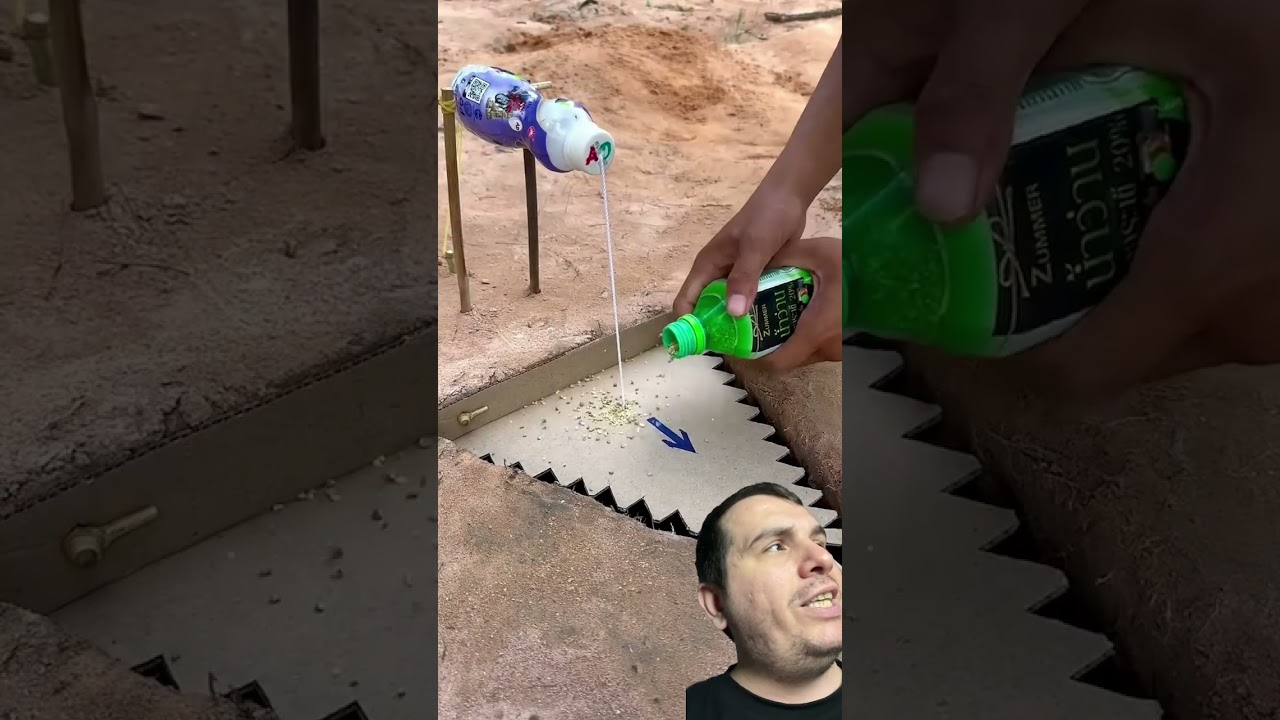 Pratik kuş tuzağı