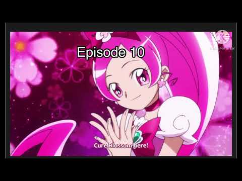Precure 10th Anniversary All Messages (1-14) (Photos)
