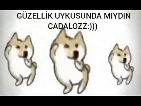 PRENSES SONUNDA UYANABİLDİN