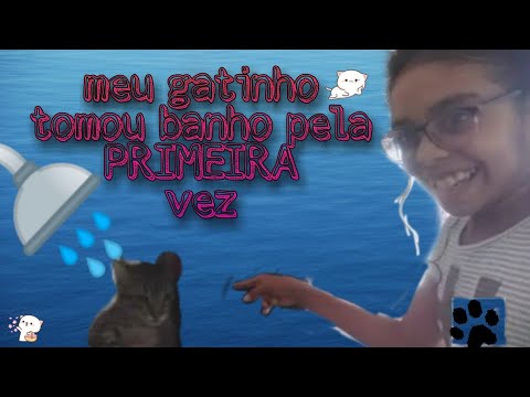 primeiro banho do meu gatinho ~ Gabi Lima