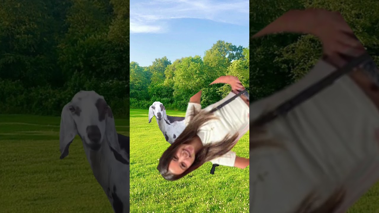 princess savvy fan edit #edit #viralvideo