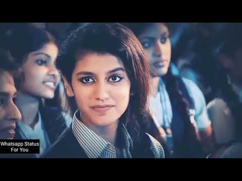 Priya Prakash Varirer | Viral Video
