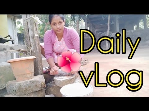 Priya vLog
