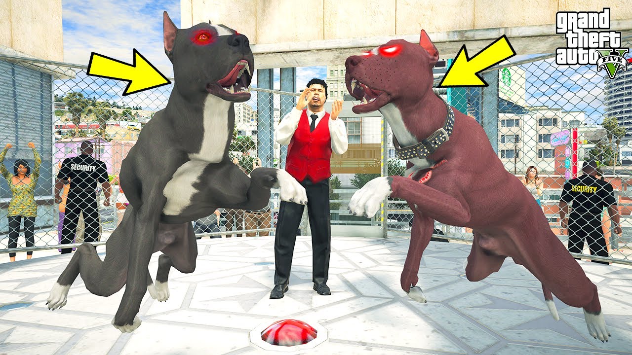 PİTBULL TERMİNATÖR VS CANAVAR PİTBULL MONSTER FİNAL DÖVÜŞÜ! - GTA 5
