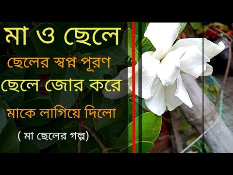Puja Natural View EP-2 || Natural Vlog Gondoraj Flower Plant || Flower Tree at my Home